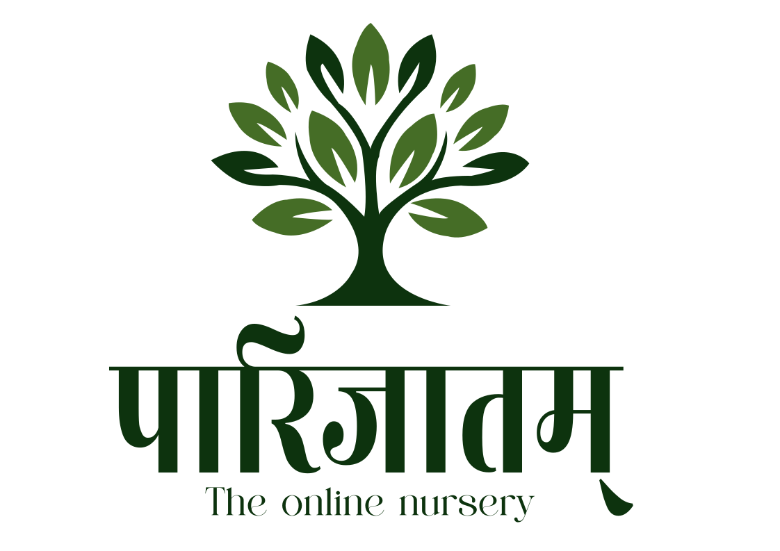 Client brand
